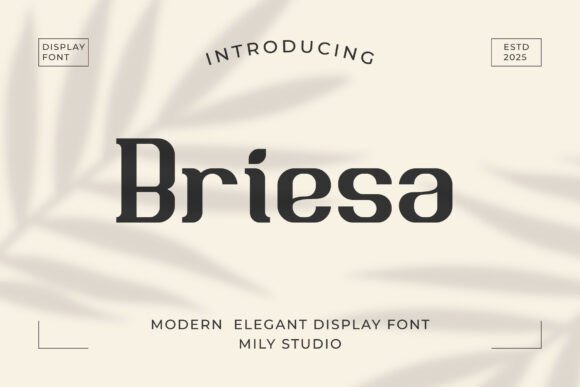 Briesa Display Font for Warm and Clear Branding Projects